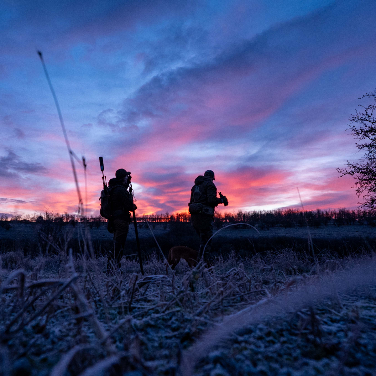 Hunting Experiences in the UK – Guided Deer & Wild Boar Stalking ...
