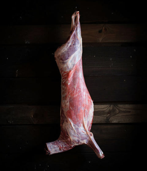 Venison Carcass